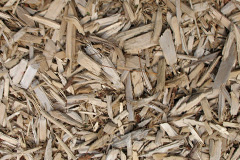 biomass boilers Rayne
