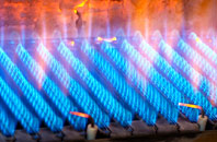 Rayne gas fired boilers